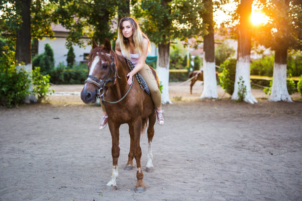 年轻女子骑马的女孩图片下载