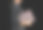 商务女性与皮包孤立在黑色背景。图片下载