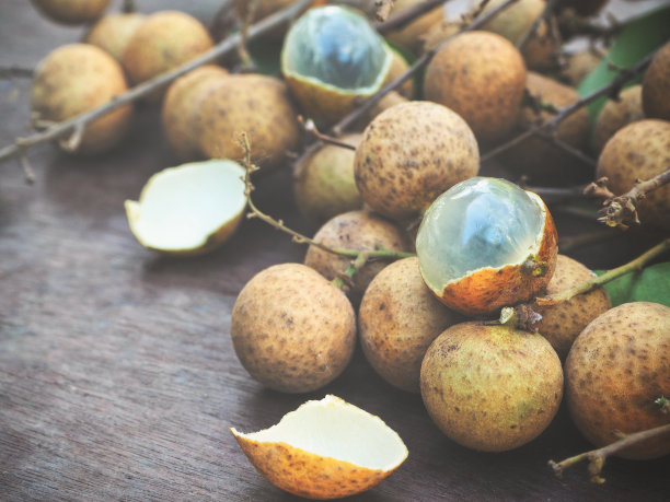 龙眼的素材图片