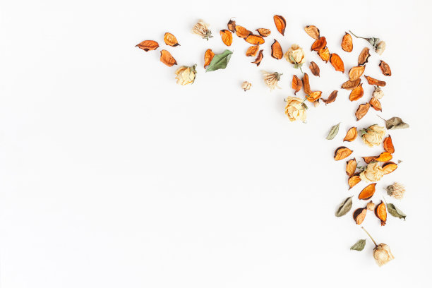 框架由秋天的花、叶组成。平躺，俯视图图片下载