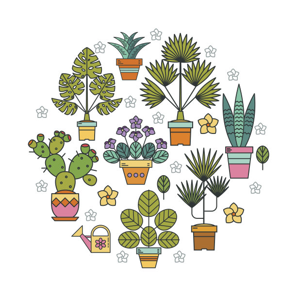 盆栽植物。花在锅。把盆花排成一个圆圈。孤立在白色背景上。图片下载