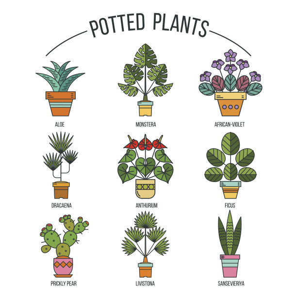 花在锅。盆栽植物。向量图像的集合。孤立在白色背景上。图片下载