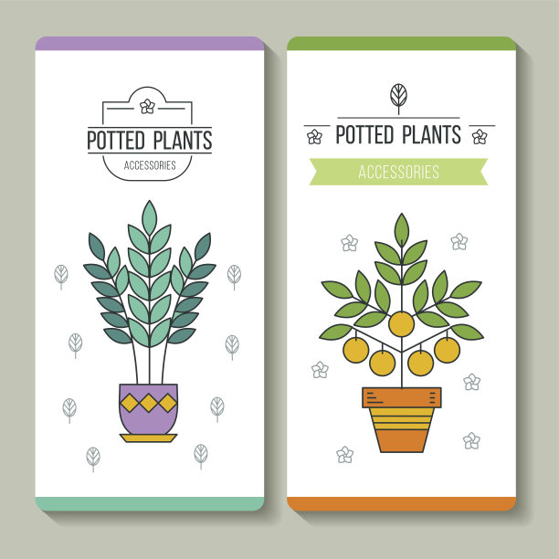 盆栽植物。名片。矢量插图。花店。孤立在白色背景上。图片下载