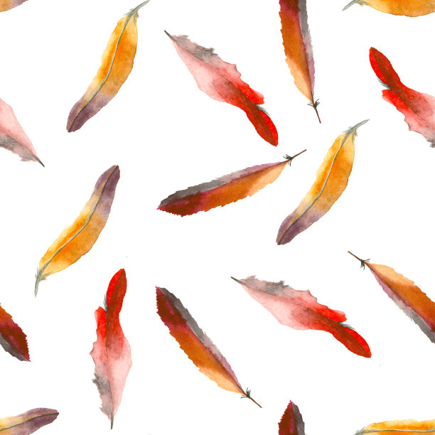水彩羽毛模式图片下载