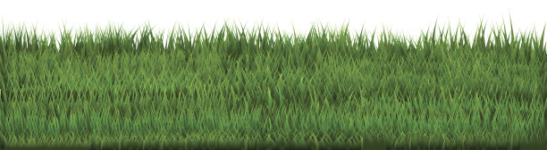 草边境图片下载