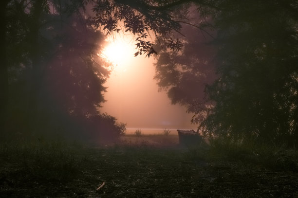 雾蒙蒙的夜晚，公园里的灯光朦朦胧胧素材图片