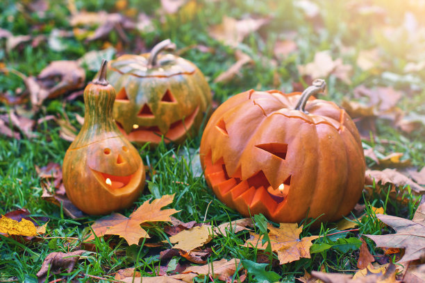 万圣节南瓜在秋季公园户外素材图片