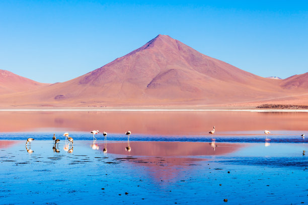 拉古纳Colorada湖图片下载