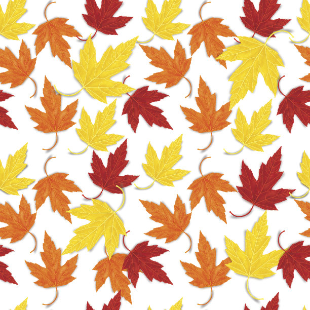 枫叶无缝矢量图案的秋天图片下载