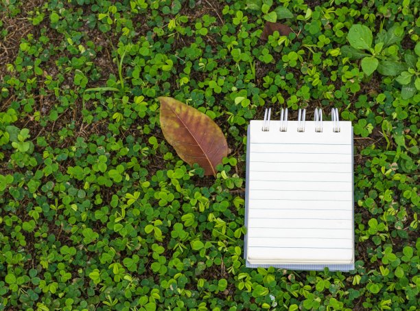 记事本与铅笔在木板和树模糊的背景。使用壁纸或背景教育，商业照片。注意产品的纸张和概念或复制空间和注意。图片下载