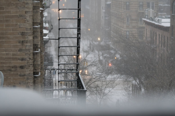 纽约的冬天图片下载