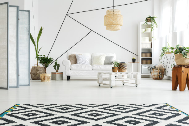 房间里的新鲜植物图片下载