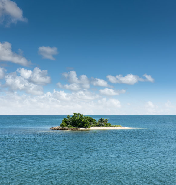 理想的岛图片下载