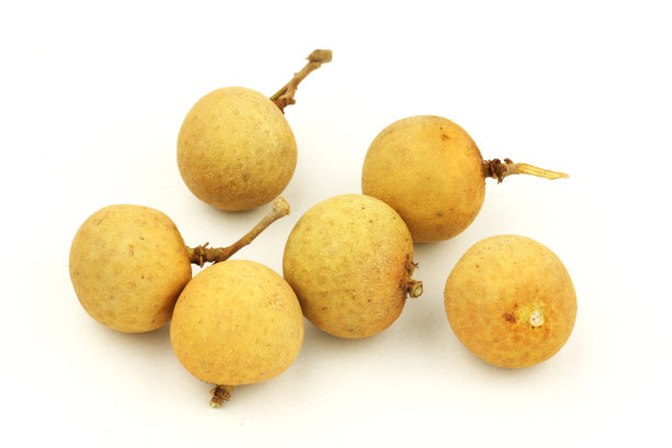 白底孤立的龙眼。素材图片
