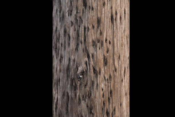 天然木质纹理背景，与剪切路径隔离图片下载