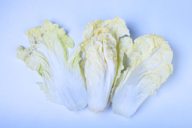 白菜图片下载