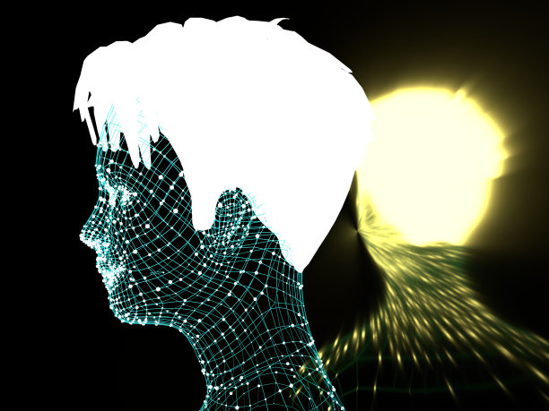 从3d网格的人的头。图片下载