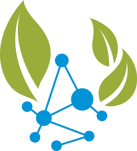 绿叶矢量图和分子网格结构。替代医学概念，植物疗法隐喻，化学分析和顺势疗法的相互联系。图片下载