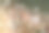 足球迷们在体育场讲台上鼓掌素材图片