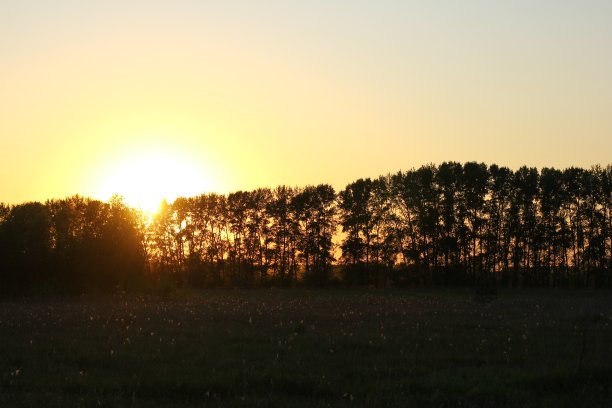 美丽的景色，金色的日落在这个国家图片下载