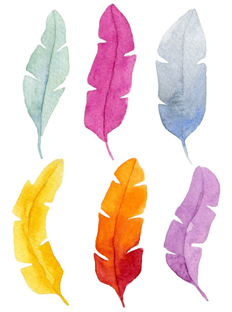 六套色彩鲜艳的水彩羽毛图片下载