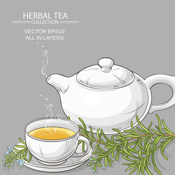 迷迭香茶插图图片下载