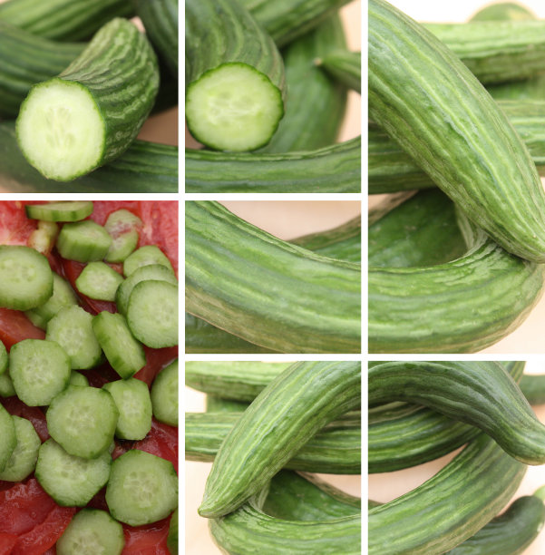 厨房里准备黄瓜图片下载