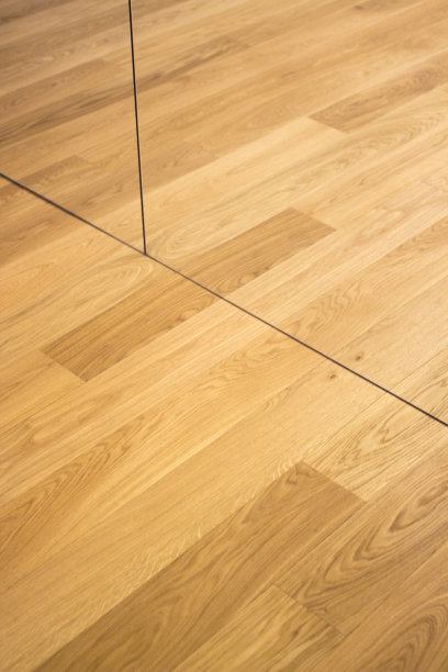 健身房健身俱乐部的瑜伽舞蹈和普拉提工作室，抛光实硬木地板木质弹簧地板。图片下载