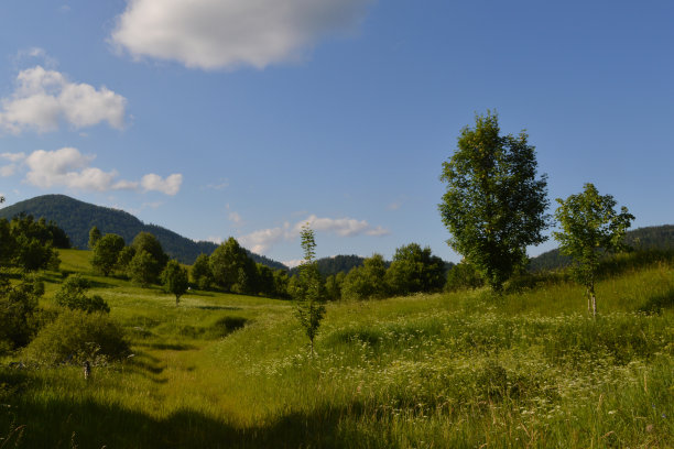 夏日里美丽的风景图片下载
