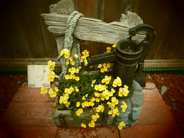 鲜花和良好图片下载