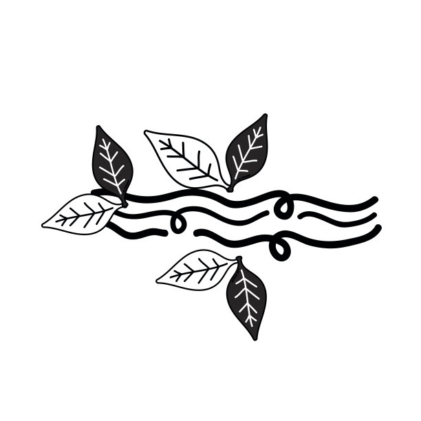 等高线自然风天气与叶元素图片下载