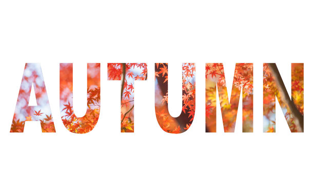 秋天的信签图片下载