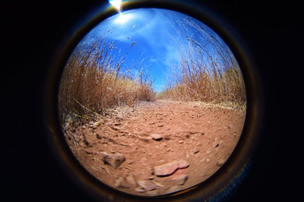 亨利科州立公园图片下载