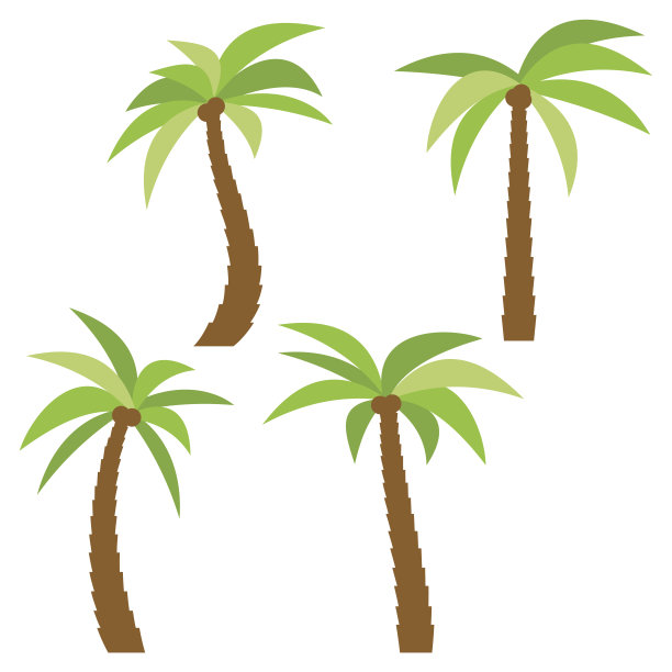 四种不同的卡通棕榈树孤立在白色的背景图片下载