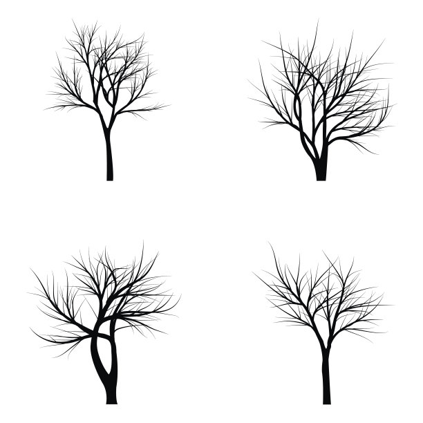 有枯枝的树图片下载