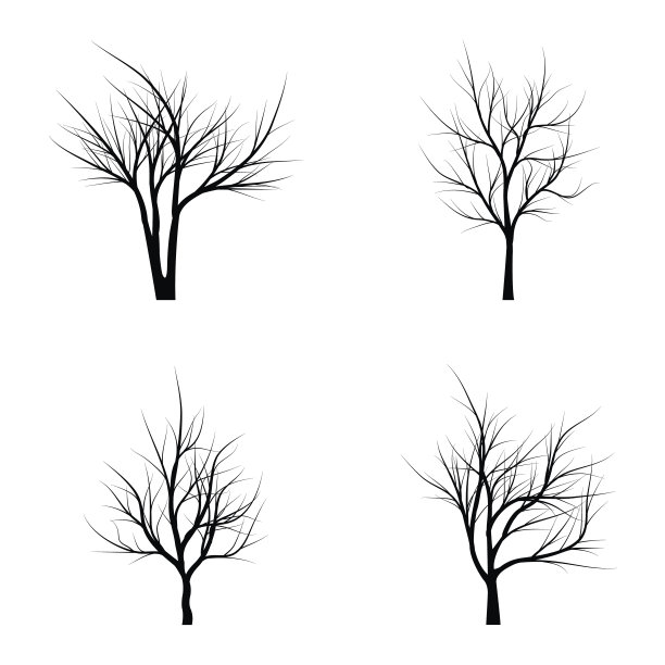 有枯枝的树图片下载