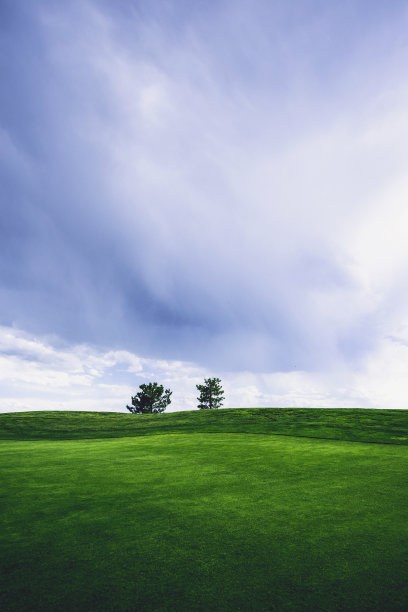 蓝天下的树和草图片下载