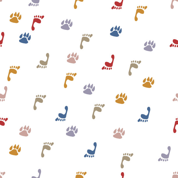 狗和人的脚印。图片下载