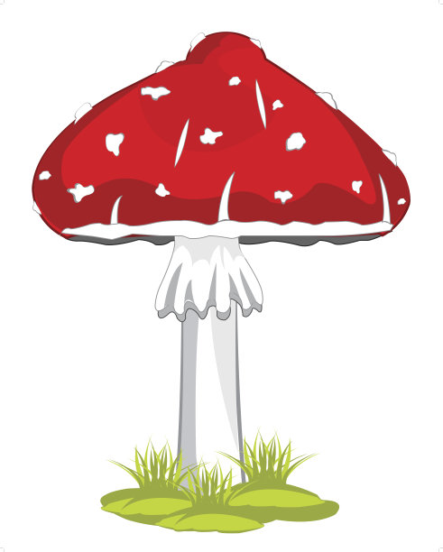 蘑菇木耳飞素材图片