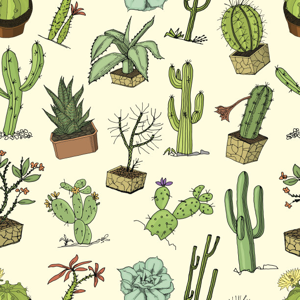 家仙人掌植物与刺和自然元素在花盆和花。奇异的或热带。多种肉质植物，纹路无缝。墨汁雕刻，手绘老素描和复古风格图片下载