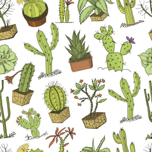 家仙人掌植物与刺和自然元素在花盆和花。奇异的或热带。多种肉质植物，纹路无缝。墨汁雕刻，手绘老素描和复古风格图片下载