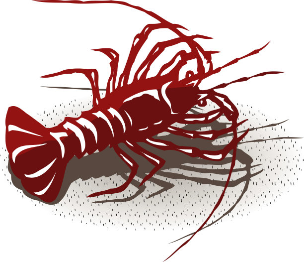 大螯虾图片下载