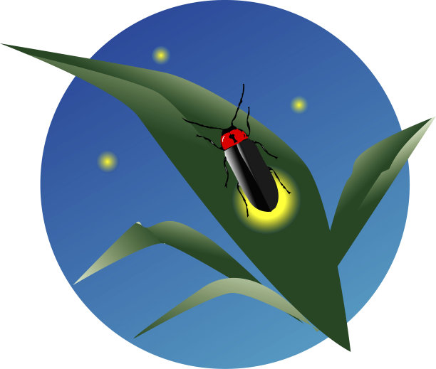 萤火虫素材图片