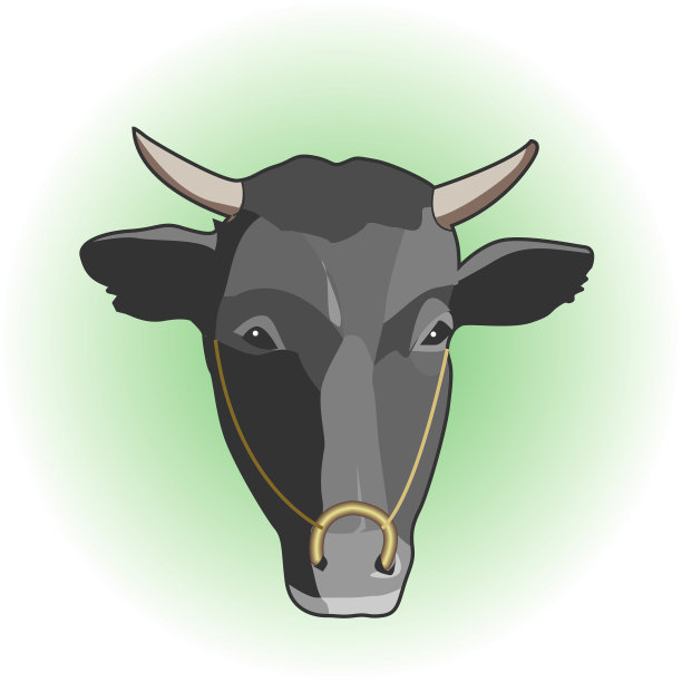 牛图片下载