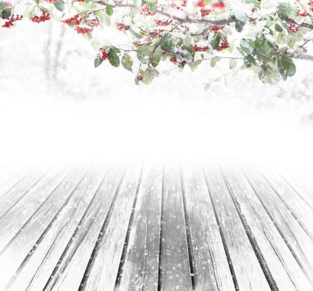 幻想圣诞背景图片下载