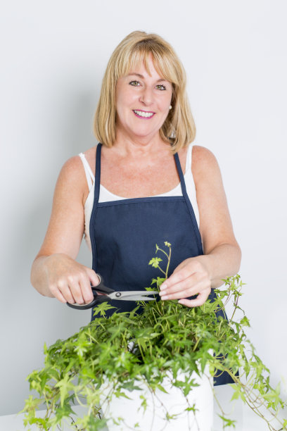 园艺女人与植物。孤立在白色背景上。图片下载