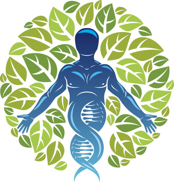 肌肉人类的矢量图形插图被描绘为DNA链的延续和用生态树叶创造。绿色思维技术创新，生态环保理念。图片下载