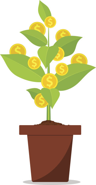 花盆里的钱树图片下载