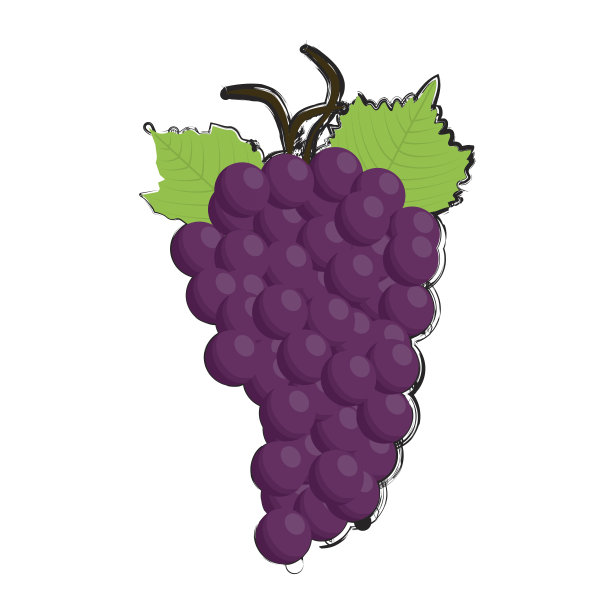 Wrape图标矢量图片下载