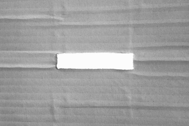 把你的文本图片下载